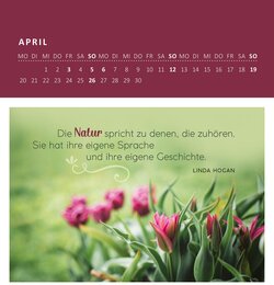 Innenansicht 2