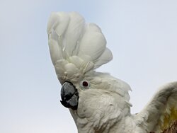 Innenansicht 1