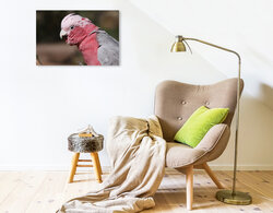 Innenansicht 3