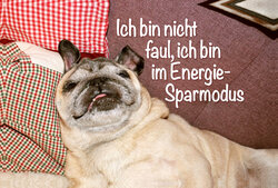Innenansicht 1