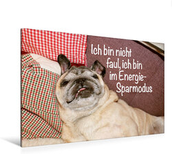 Innenansicht 5