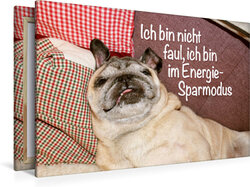 Innenansicht 6