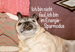 Innenansicht 1