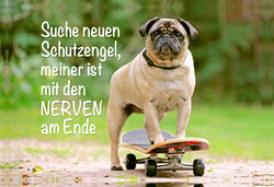 Innenansicht 1