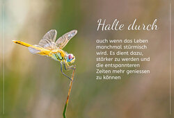 Innenansicht 1
