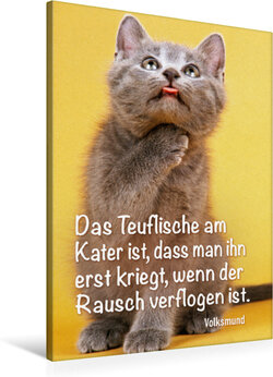 Innenansicht 5