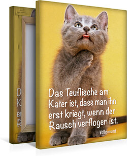Innenansicht 5
