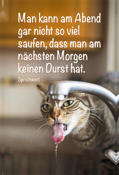 Innenansicht 1