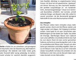 Innenansicht 2