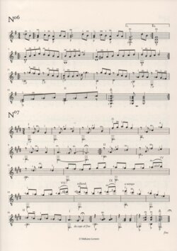 Leseprobe 1