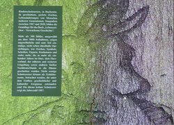 Backcover