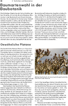Innenansicht 3