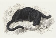 Verlag Sixthkyu Verlag