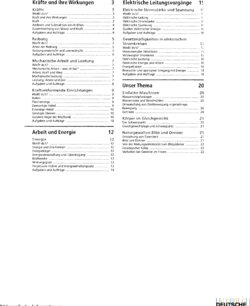 Inhaltsverzeichnis 1