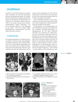 Leseprobe 4