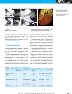 Leseprobe 6