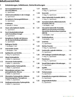 Inhaltsverzeichnis 1