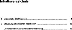 Inhaltsverzeichnis 1