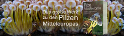 Bühnenbild