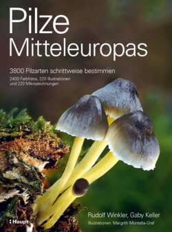 Leseprobe