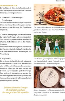 Innenansicht 5