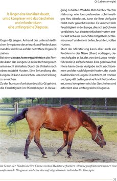 Innenansicht 7