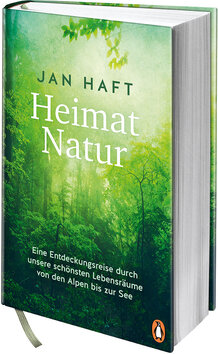 Innenansicht