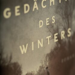 Innenansicht 5