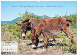 Innenansicht 10