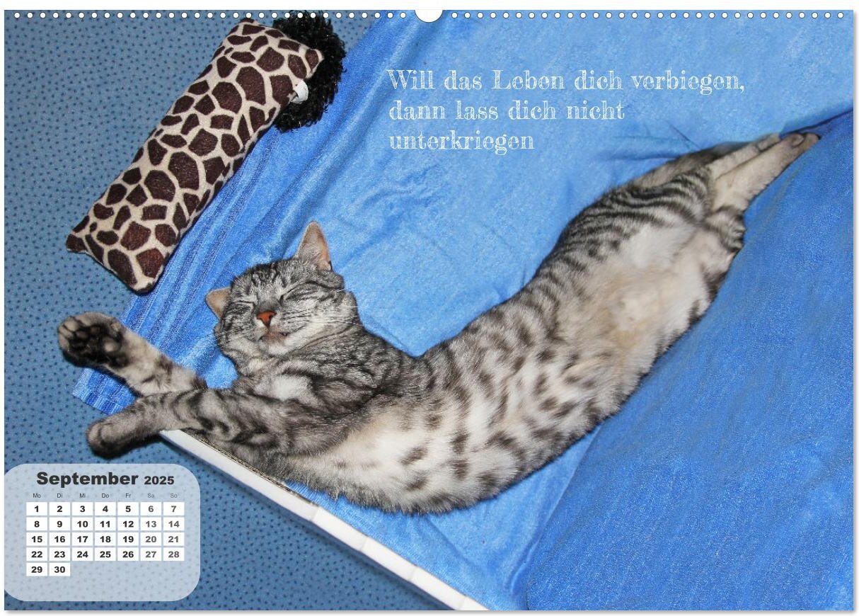 lesen