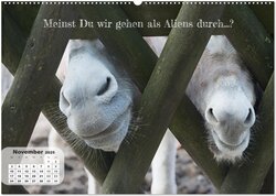 Innenansicht 13