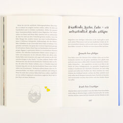 Innenansicht 2