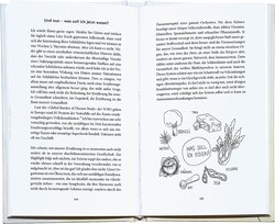 Innenansicht 6