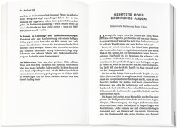 Innenansicht 6