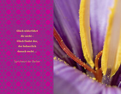 Innenansicht 1