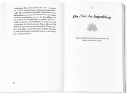 Innenansicht 6
