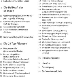 Inhaltsverzeichnis 1