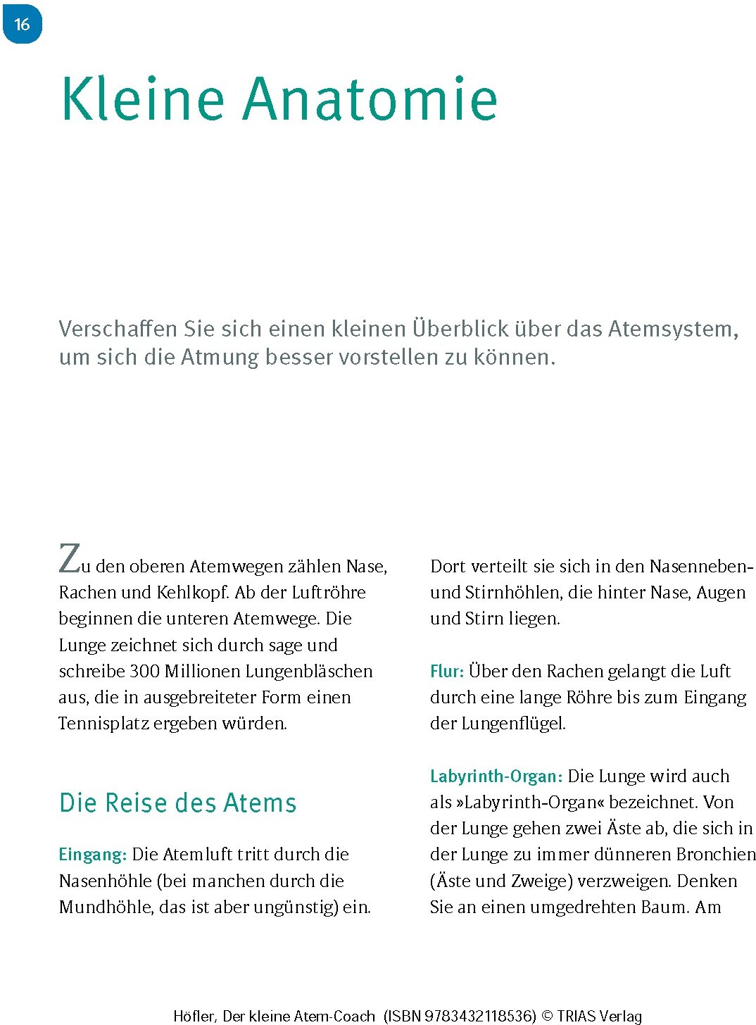 lesen