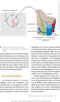 Innenansicht 10