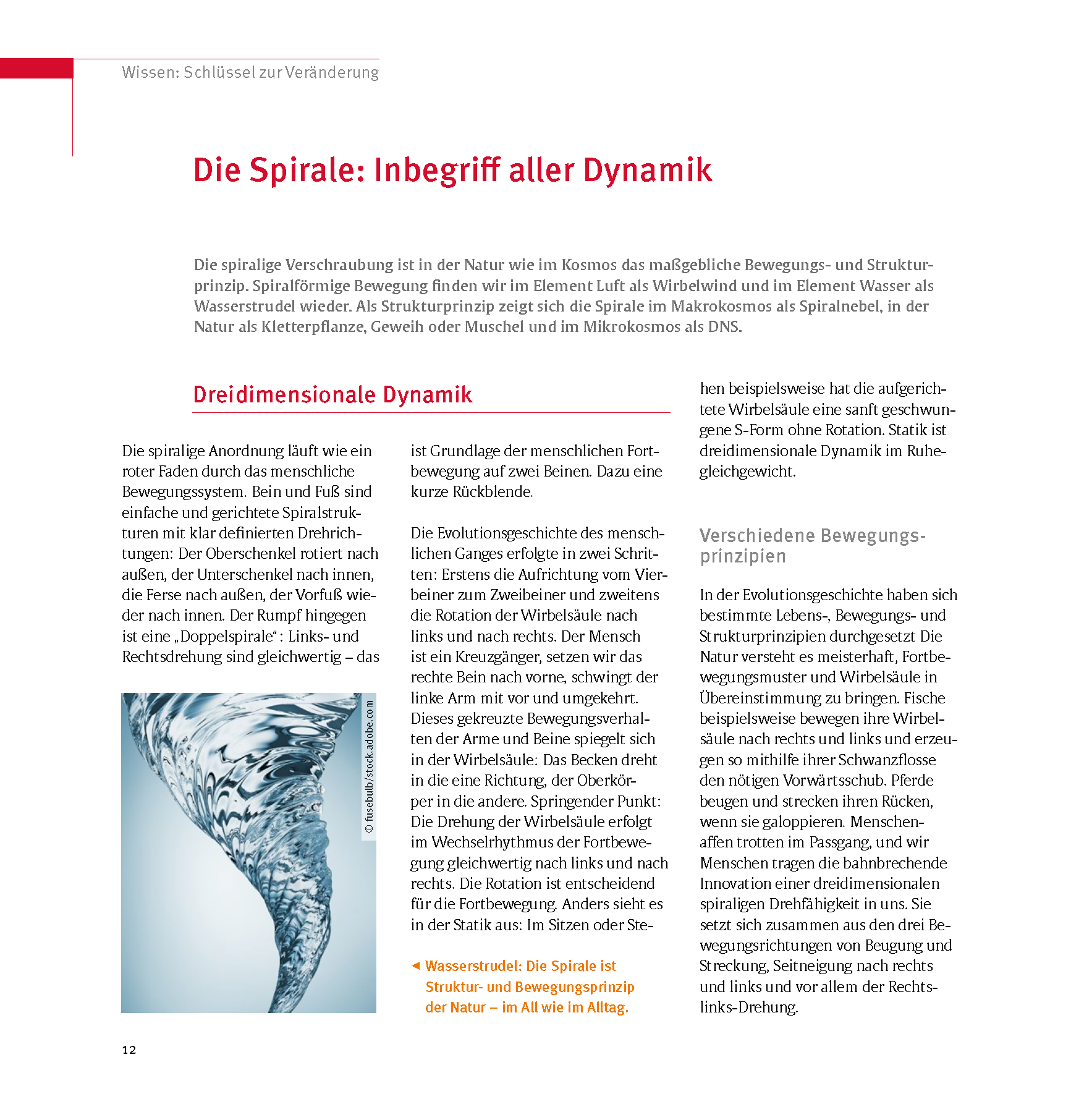 lesen