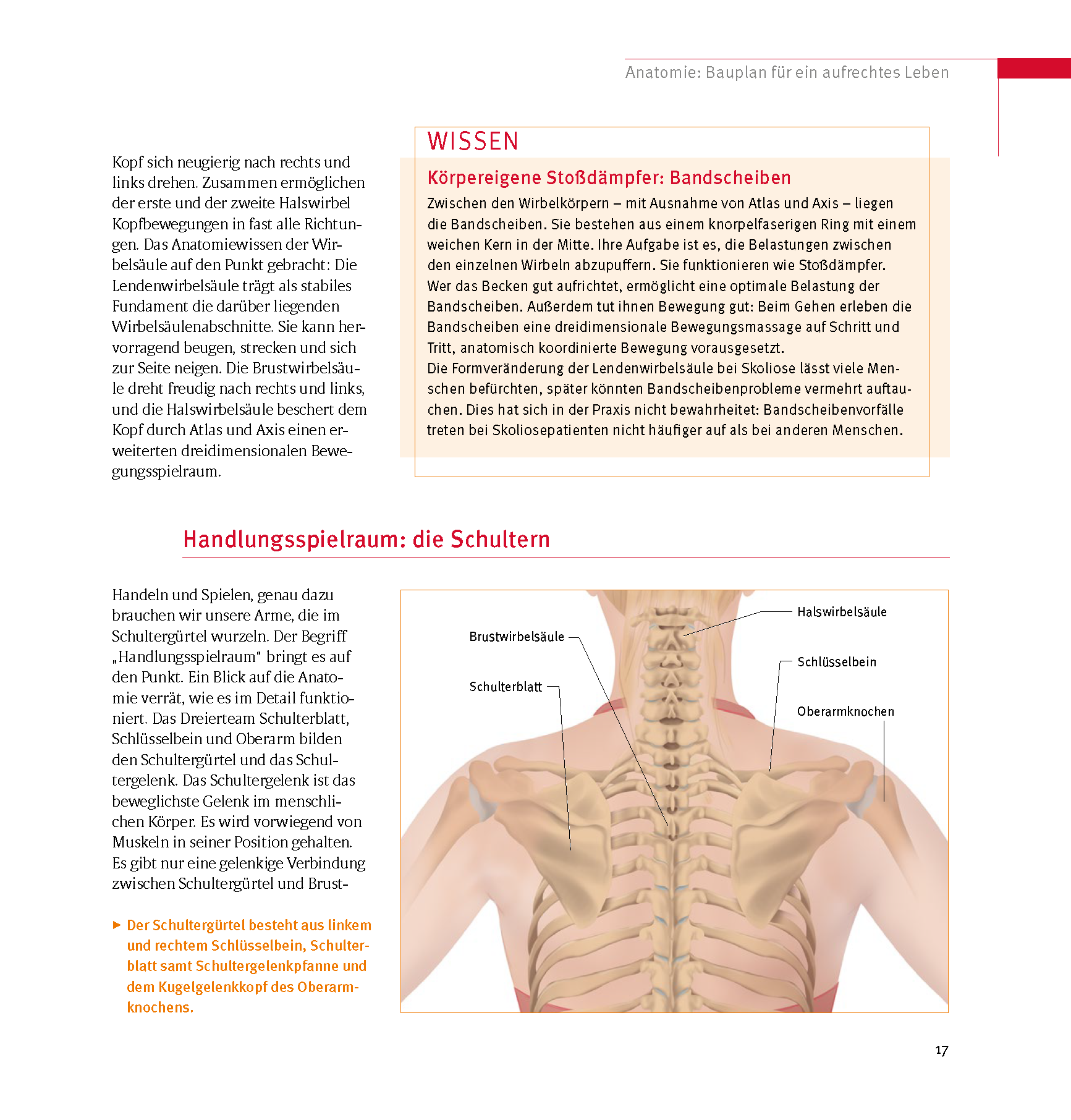 lesen