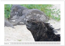 Innenansicht 10