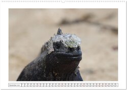 Innenansicht 14