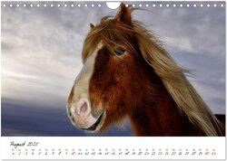 Innenansicht 10