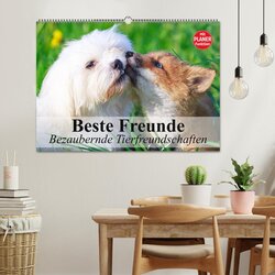 Innenansicht 2