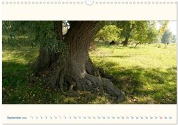 Innenansicht 11
