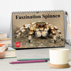 Innenansicht 2