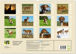 Innenansicht 1