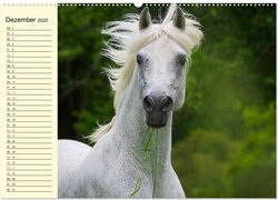Innenansicht 13