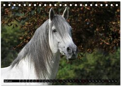 Innenansicht 6